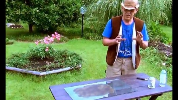 ЛЕЧЕНИЕ ВЕСЁЛКОЙ