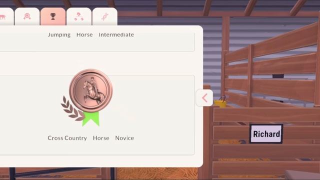 Краткий обзор игры Equestrian The Game