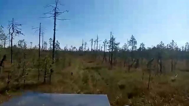 Цельнорамный вездеход Яг-Морт смотреть онлайн