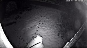 Рождественский привет, нам прямо под калитку от жительницы Сухой Лубны!!!