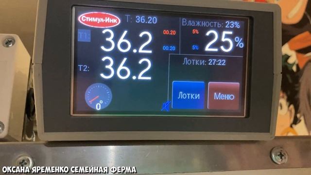 Инкубация СТРАУСИНОГО ЯЙЦА / ЭМУ / ПОШАГОВО / Часть 1 смотреть онлайн