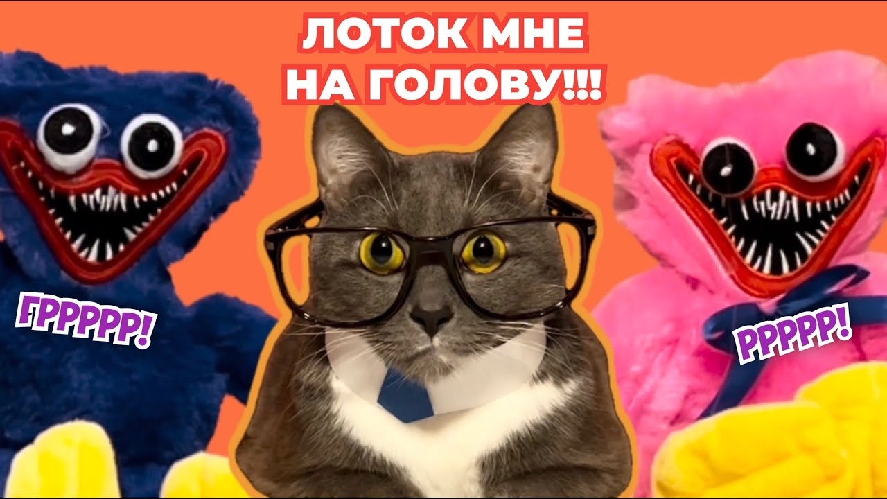 ЕСЛИ БЫ КОТИКИ ХОДИЛИ В ШКОЛУ - КИССИ МИССИ И ХАГГИ ВАГГИ, УЧИТЕЛЬСКАЯ смотреть онлайн