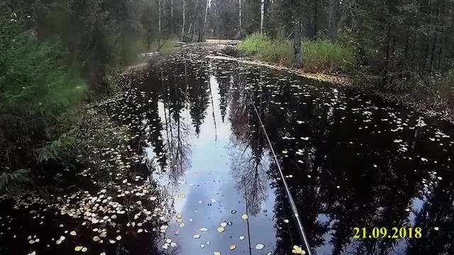 Осенний хариус смотреть онлайн