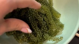 Пробую морской виноград с озона 🍇