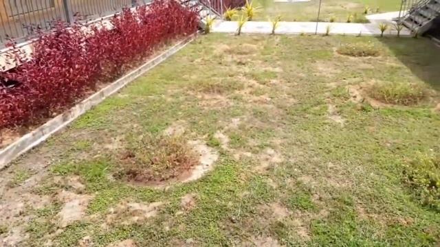 di SK Wakuba kita смотреть онлайн