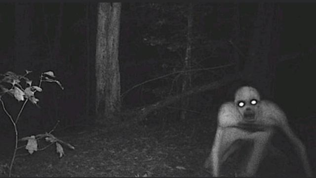 ырка / фон 1 час ФОН /ФУТАЖИ/ 1 ЧАС #фон #футажи #топ #top #background #footage