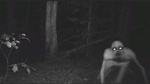 ырка / фон 1 час ФОН /ФУТАЖИ/ 1 ЧАС #фон #футажи #топ #top #background #footage