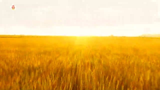 КНДР СЕГОДНЯ май 2023 화면음악 땅과 농민 смотреть онлайн