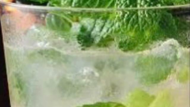 MOJITO - @musicTKG смотреть онлайн