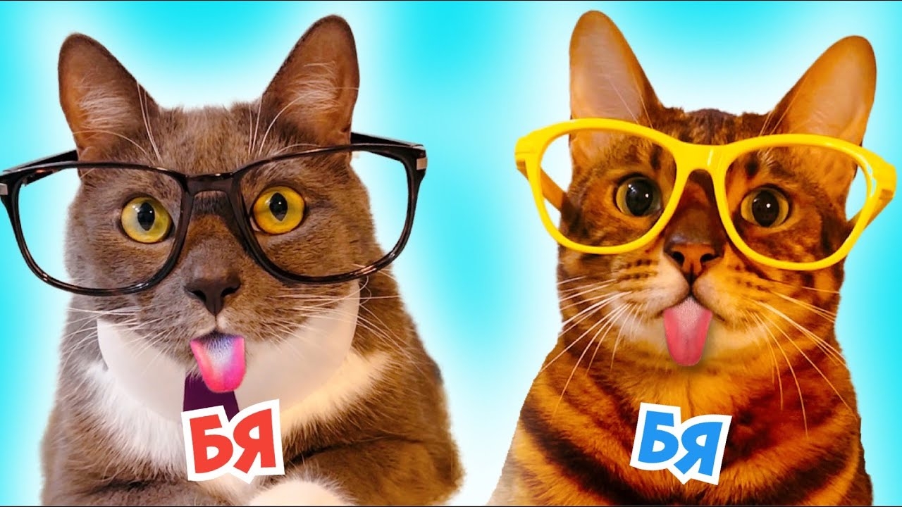 ЕСЛИ БЫ КОТИКИ ХОДИЛИ В ШКОЛУ - БЯБЯДЕЛКИ смотреть онлайн