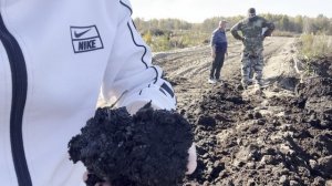 ГРИБЫ В ПОДВАЛЕ / ЕДЕМ ЗА ТОРФОМ