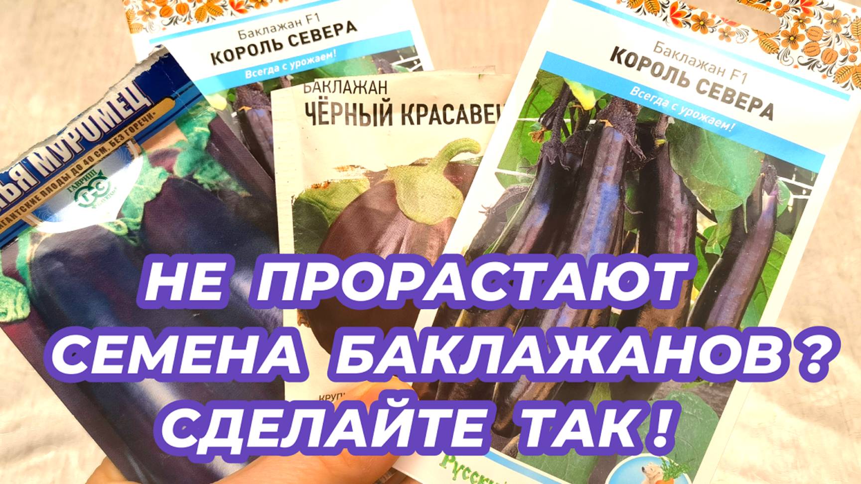 Почему не прорастают семена баклажанов? 4 причины почему не всходят семена баклажанов и что делать смотреть онлайн