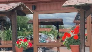 Мукачево. Закарпатські смаколики, які нікого не залишать байдужими. Що привезти із Закарпаття? Смак