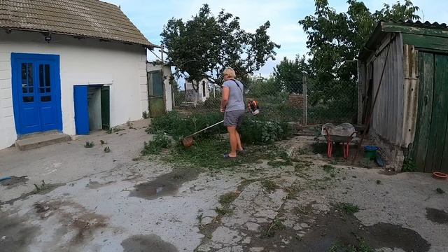 ЖИВУ ОДНА В ДЕРЕВНЕ/ ВЫКОСИЛА ДВОР смотреть онлайн