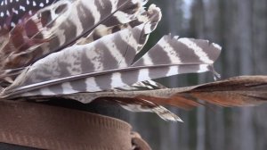 Коллективная охота женского охотничьего клуба в Эстонии.