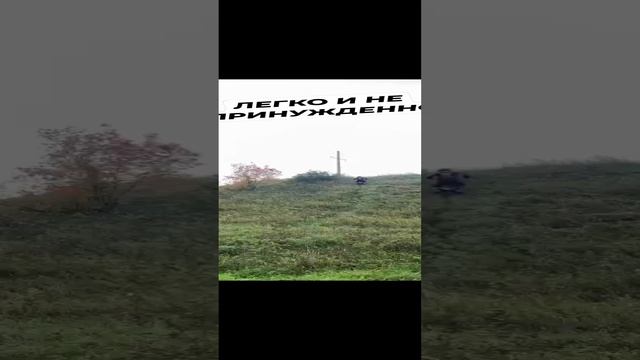 А это Серега смотреть онлайн