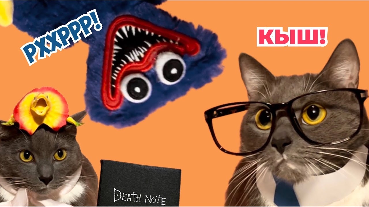 ЕСЛИ БЫ КОТИКИ ХОДИЛИ В ШКОЛУ - ЛЮБИМЫЕ СЕРИИ УЧЕНИКОВ смотреть онлайн