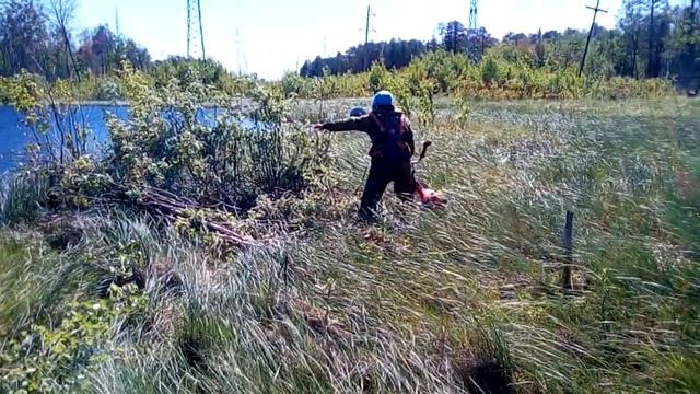 Болото опасно ходим по тине над водой,как гупка. смотреть онлайн