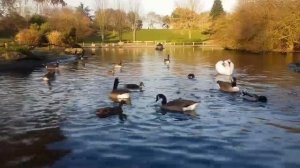 Сытники Андрей и Светлана.Кто хозяин дома?