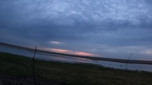 ОХОТА НА ГУСЯ 2024!!! СКОЛЬКО ЖЕ ГУСЕЙ НА ЭТОМ ПОЛЕ!!! ОХОТА НА ГУСЯ В САРАТОВСКОЙ ОБЛАСТИ