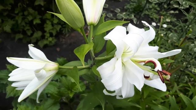 ЯКА Ж ЛЕДАЧА ЦЯ КОВАЛЬЧУЧКА!! НАРЕШТІ ЗЯВИЛАСЯ ДИТИНКА смотреть онлайн