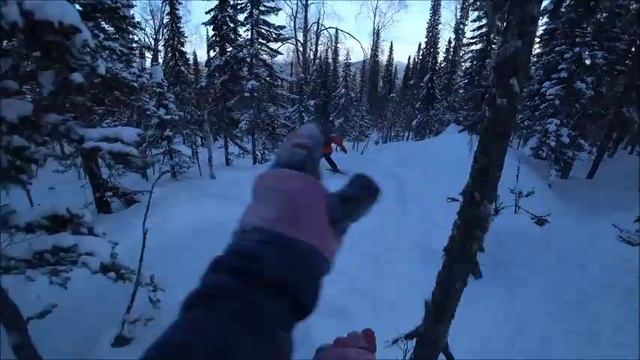 Гуляем по лесу 2019 Шерегеш