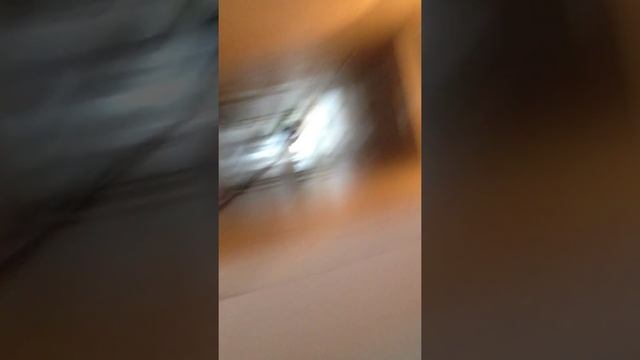Трэш в школе!!! смотреть онлайн