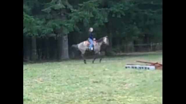 Double Ott Performance Horses-"Faded Blu Jeans" смотреть онлайн