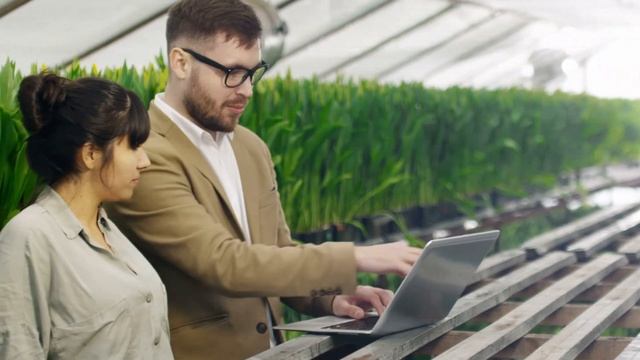 REDUCE TU HUELLA CARBONO DIGITAL CON TERRA WEB 🌐🍃 смотреть онлайн
