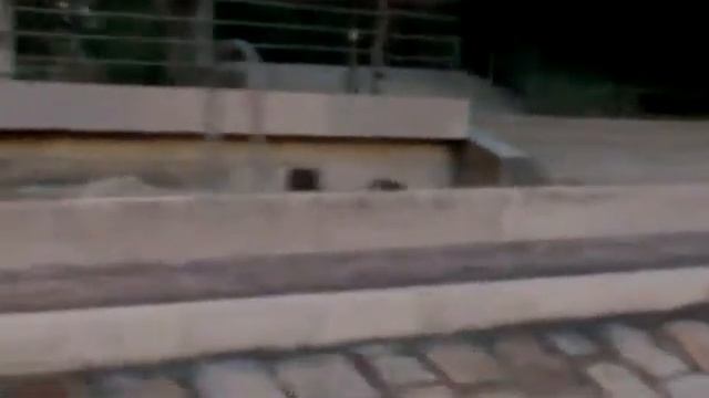Рататуй в Париже смотреть онлайн