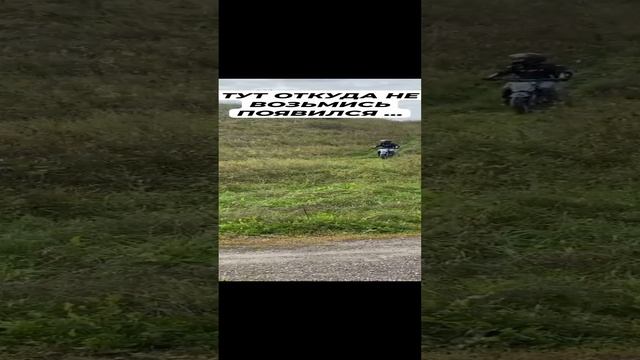 Дядя на питбайке смотреть онлайн