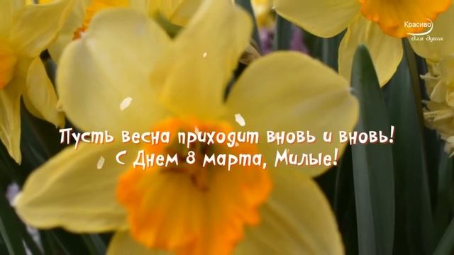 Поздравление от детского танцевального коллектива "Родничок" с 8 марта смотреть онлайн