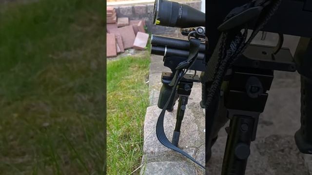 1701 Crosman 230606