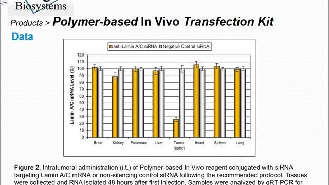 Altogen Biosystems Polymer Transfection Invivo Kit смотреть онлайн