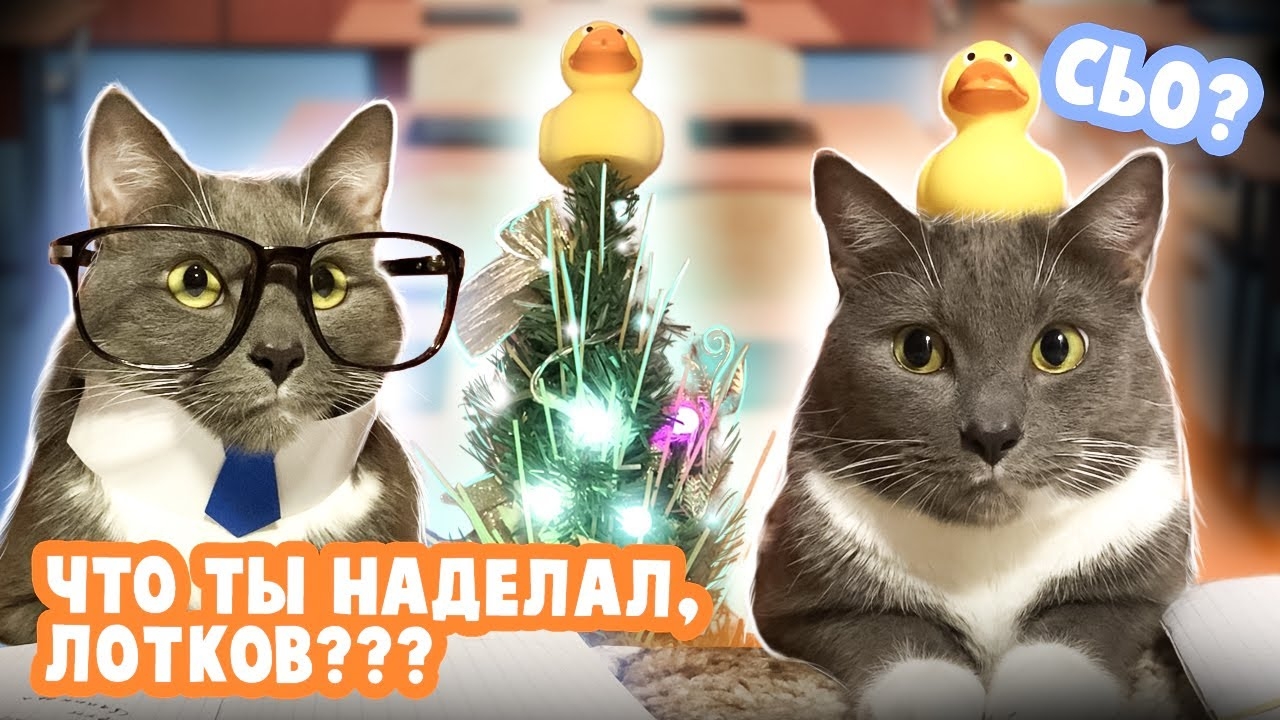 ЕСЛИ БЫ КОТИКИ ХОДИЛИ В ШКОЛУ - НОВОГОДНИЙ ВЫПУСК смотреть онлайн