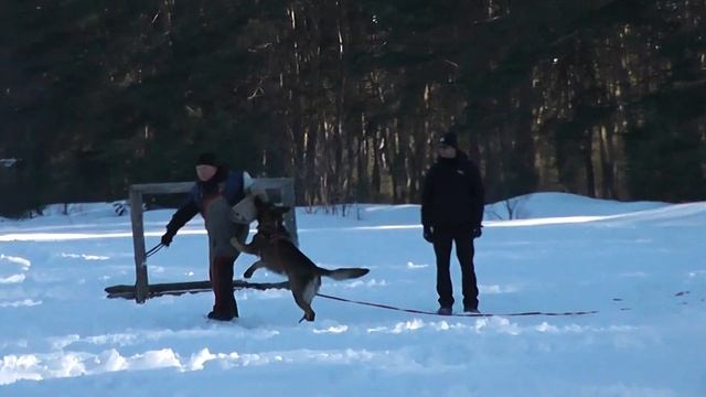 03 20 2022 091002 смотреть онлайн