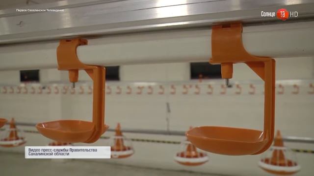 15.09.2016 Сахалинский бройлер выйдет к потребителю 8 ноября смотреть онлайн