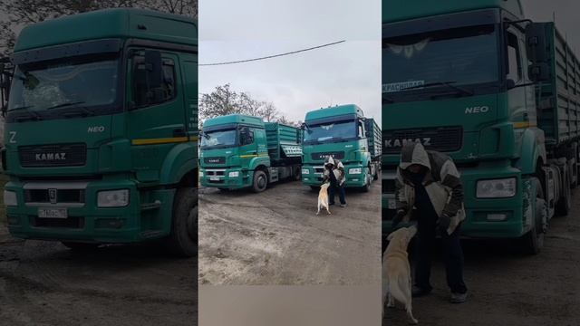 Итеко😁Толпой на Самару