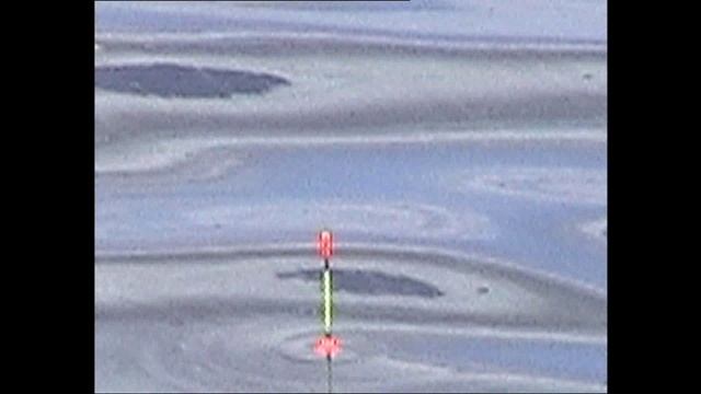 Рыбалка на набережной