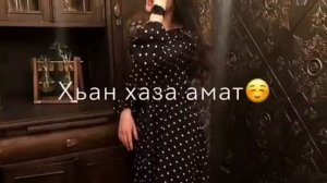 Жима дог. Ирсаха
