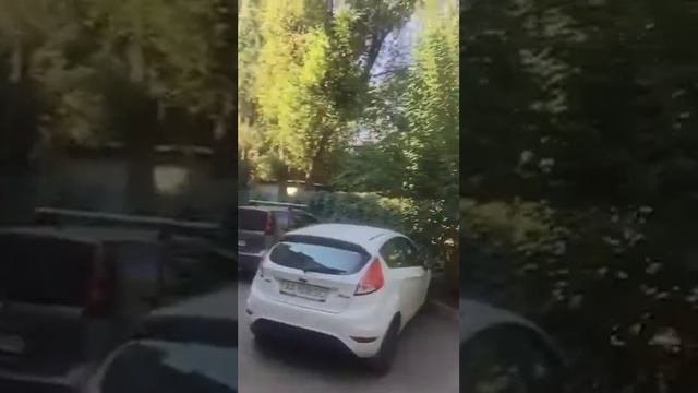 Днепр квартиры 1к 18000$ смотреть онлайн