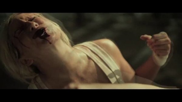 Music Video Catfight