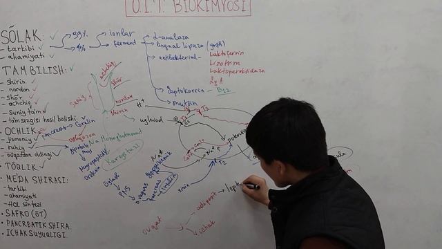 BIOCHEMISTRY | OSHQOZON ICHAK TIZIMI BIOKIMYOSI.