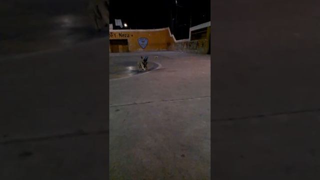 las lonjas en cámara lenta смотреть онлайн
