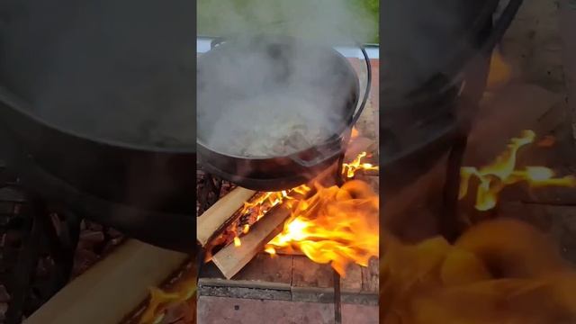 Жарим, парим. #Россия #ВеликийНовгород #YouTube #shorts #топ #костёр #кулинария #отдых #видеоролик смотреть онлайн