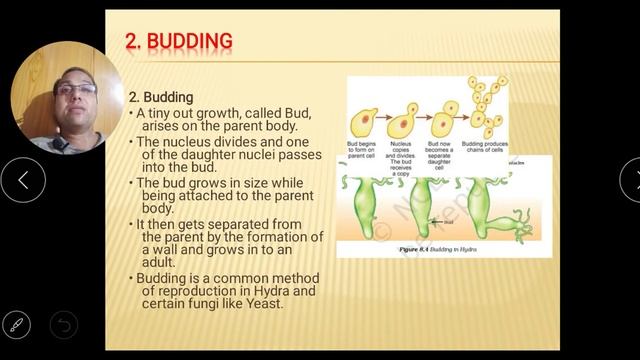 How Do Organism Reproduce X Ch 08 Part 01 I Asexual , Vegetative Reproduction & Tissue Culture