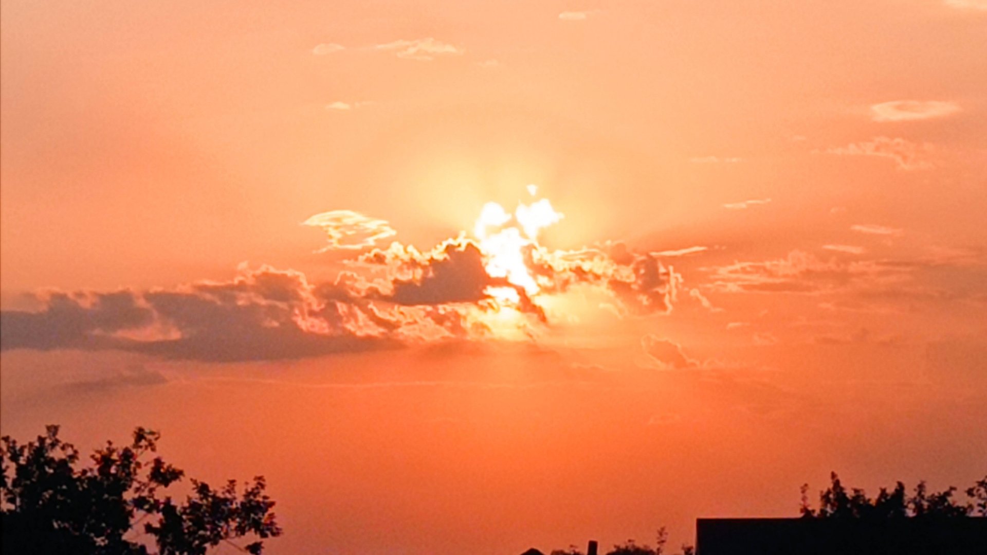 Нутрии с чего начинать. Наши ошибки при строительстве клеток.