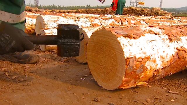 ПОЗДРАВИТЕЛЬНЫЙ РОЛИК УИ КОНЕЧНЫЙ ВАРИАНТ смотреть онлайн