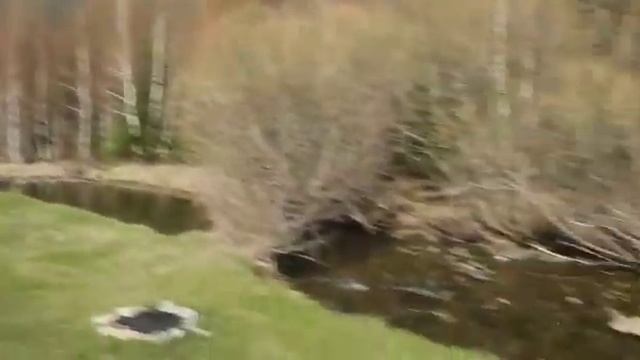 Мы гововим .Картошка тушеная с олениной смотреть онлайн