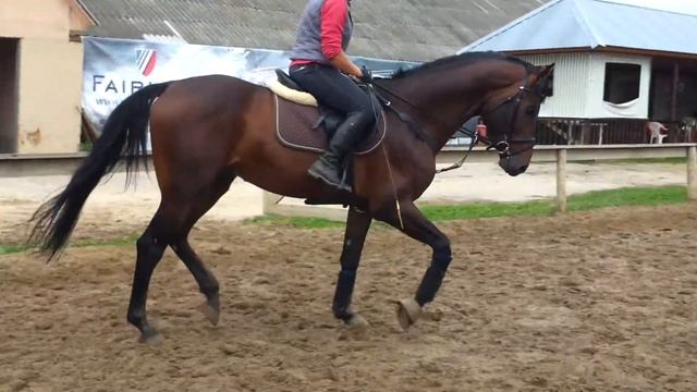 Кент-2010. сентябрь 2014 смотреть онлайн